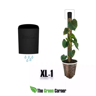 Sistema de riego para tutor XL1