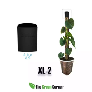 Sistema de riego para tutor XL2