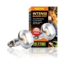 BOMBILLA INTENSE BASKING SPOT EXO TERRA-100w